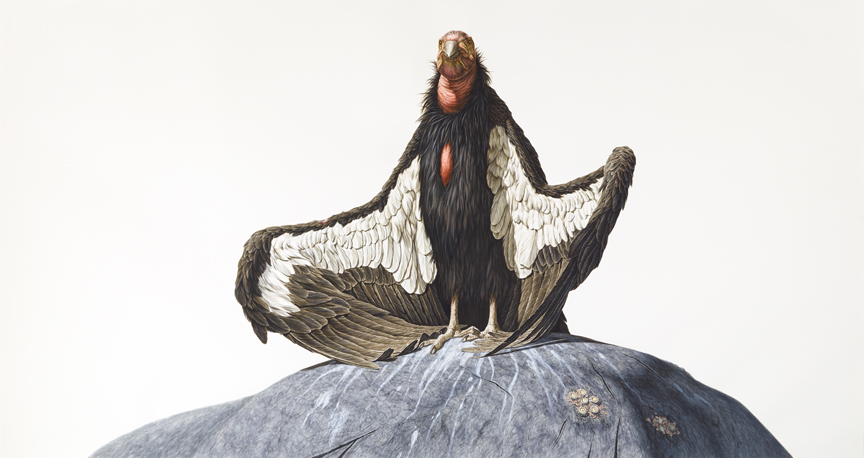 George Boorujy - California