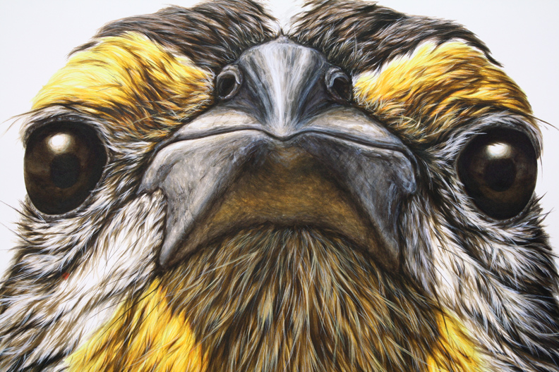 George Boorujy - Babble