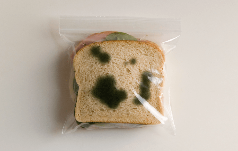 Desconocida Entropia - Anti-theft lunch bugs 3