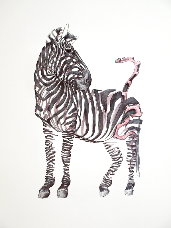 d7e543475ed688470a132ecd40d2edc7