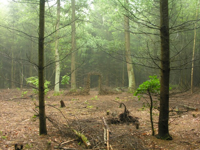 Desconocida Entropia - Cornelia Konrads 8