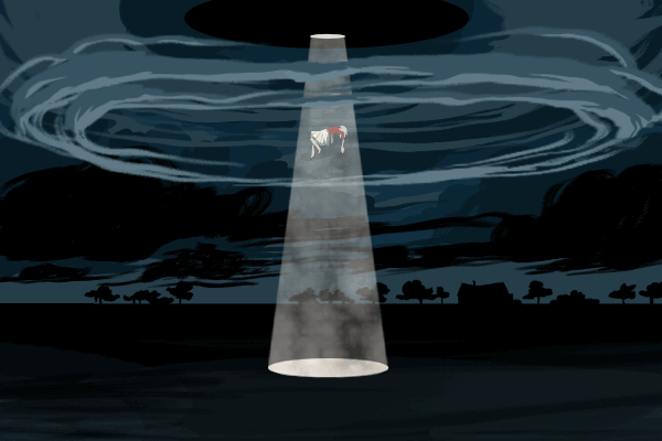 Sarah Maxwell - Gif comic 19